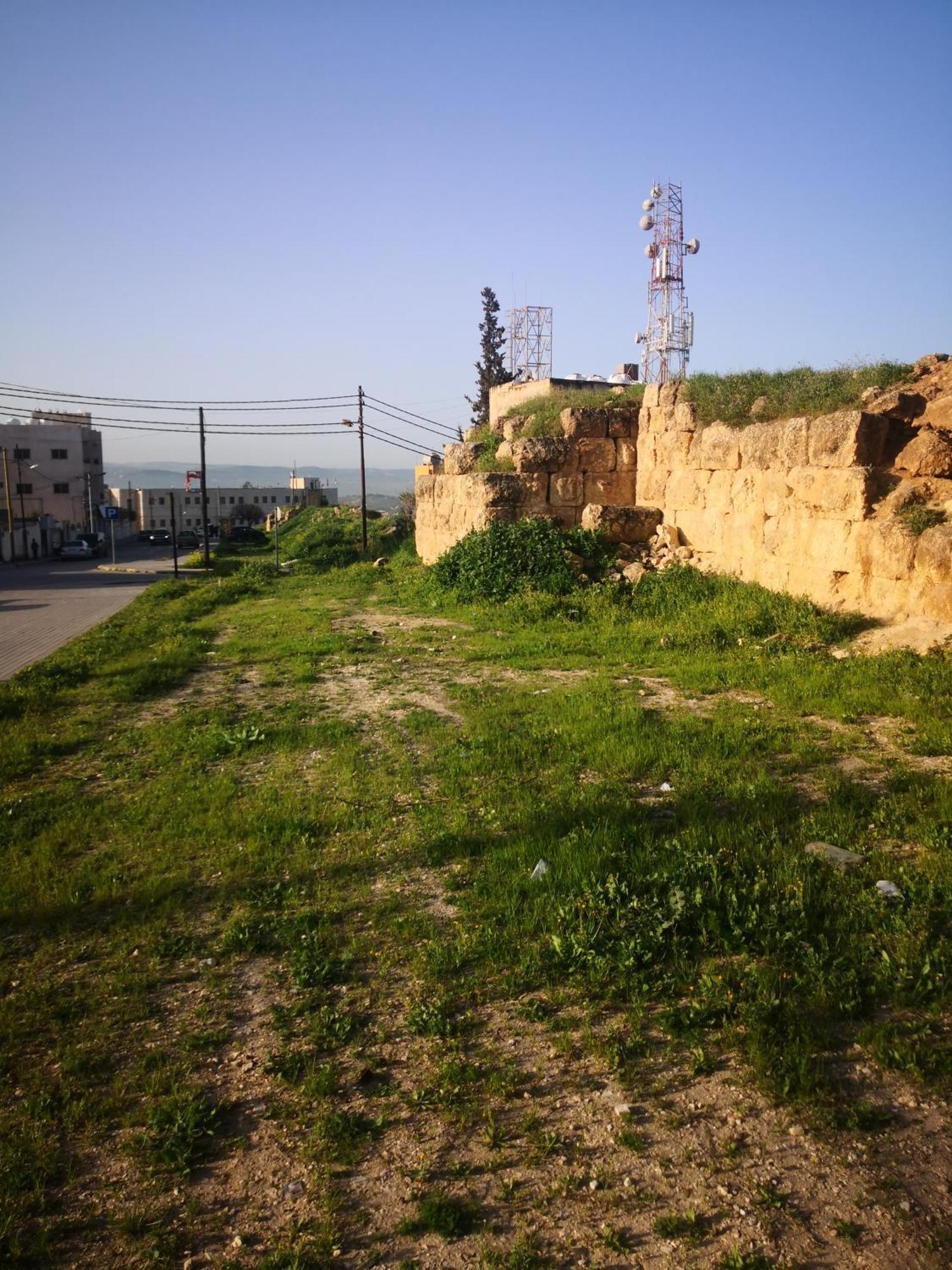 White Tulips Apartment الزنبقة البيضاء Gérasa Exterior foto