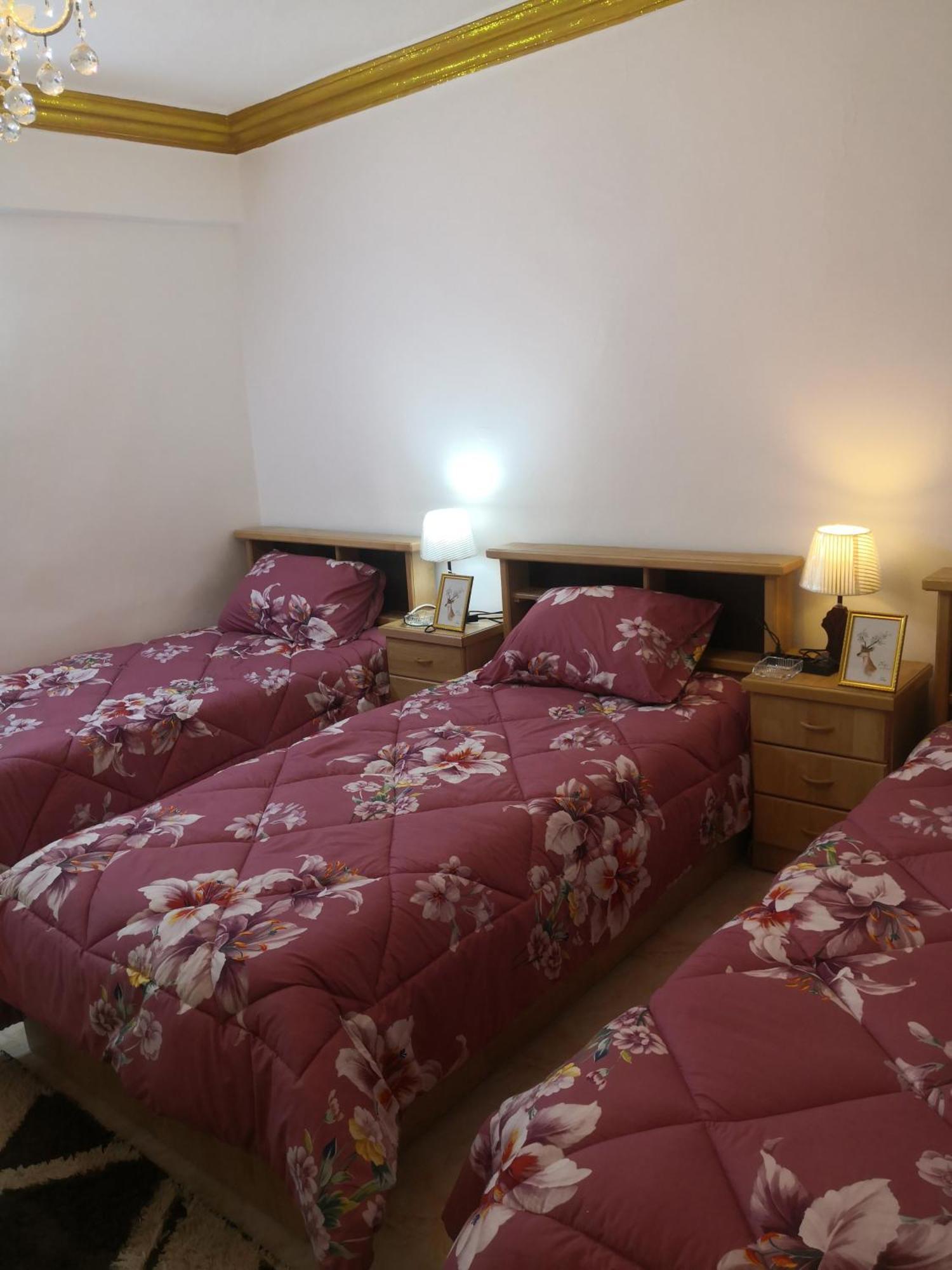 White Tulips Apartment الزنبقة البيضاء Gérasa Exterior foto