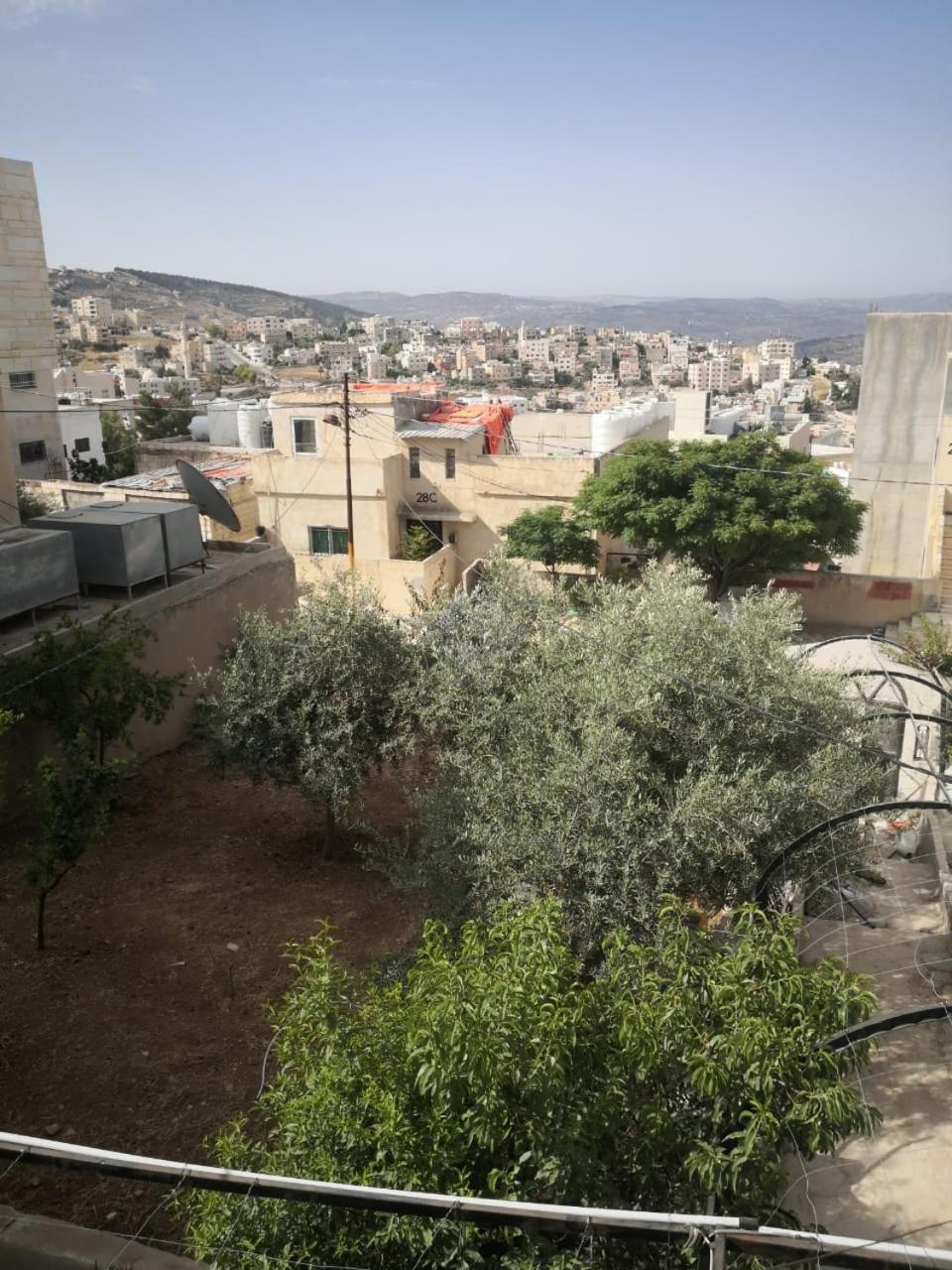 White Tulips Apartment الزنبقة البيضاء Gérasa Exterior foto